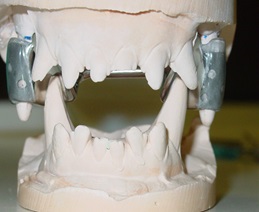 Orthodontics