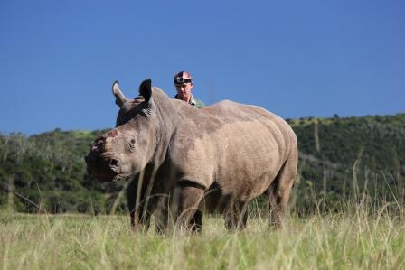 Kariega Game Reserve - Thandi Rhino (1)