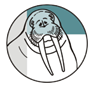 vetdent walrus logo vetdent walrus logo